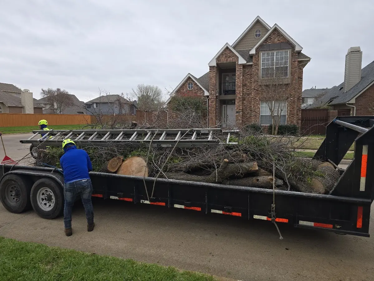 Expert Lot Clearing with proper safety equipment in Compton